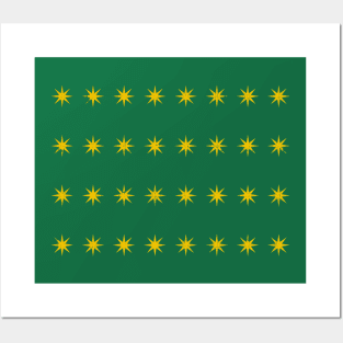 Fenian Brotherhood County Stars Flag Posters and Art